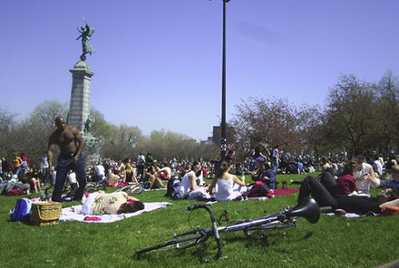 Tam Tams Montreal