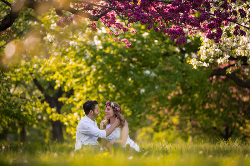 Couple sitting on grass