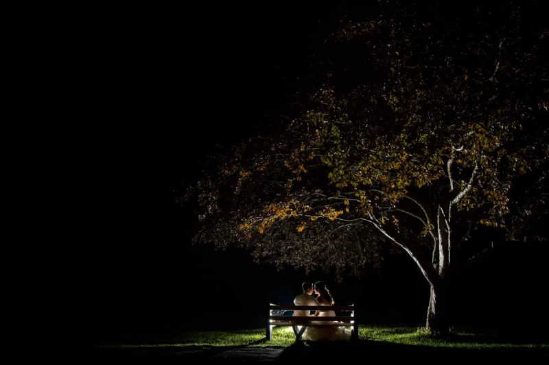 Silhouette under tree