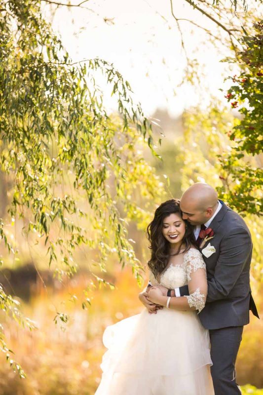 Willow trees portrait