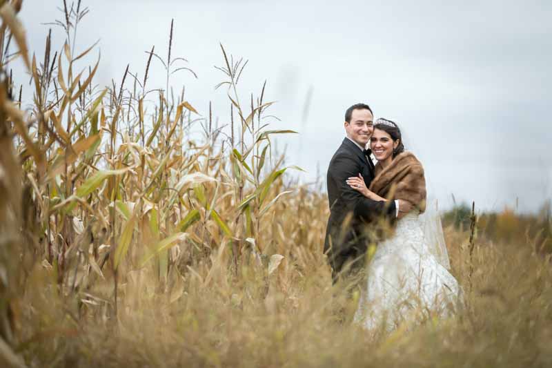 Corn field near Auberge Handfield