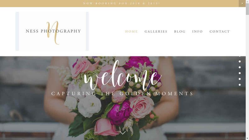 Screenshot of Ness Photography's homepage